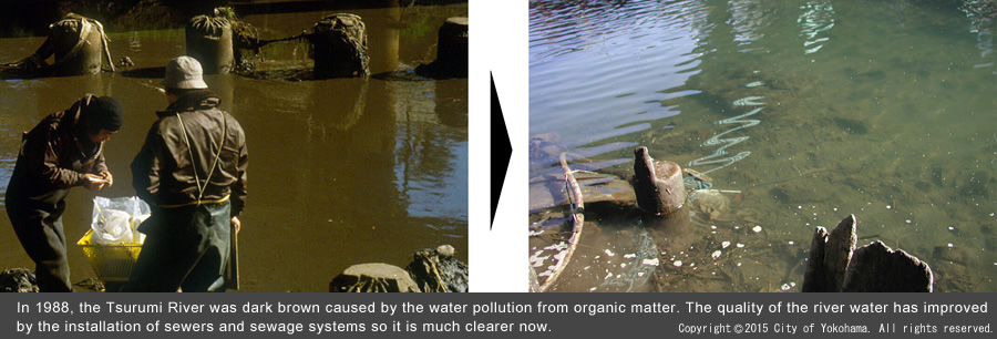 Overseas Development Based on Japanese Model of Environmental Technologies