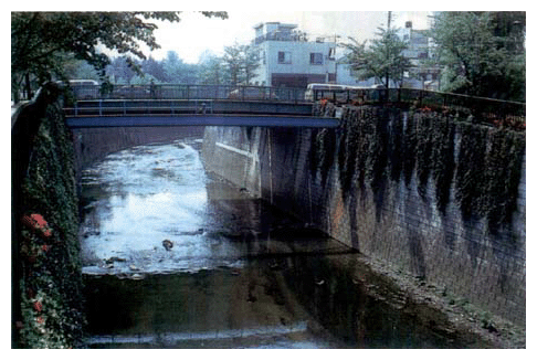 Quality of the Environment in Japan 1989 [MOE]