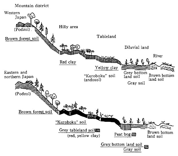 Quality of the Environment in Japan 1995 [MOE]