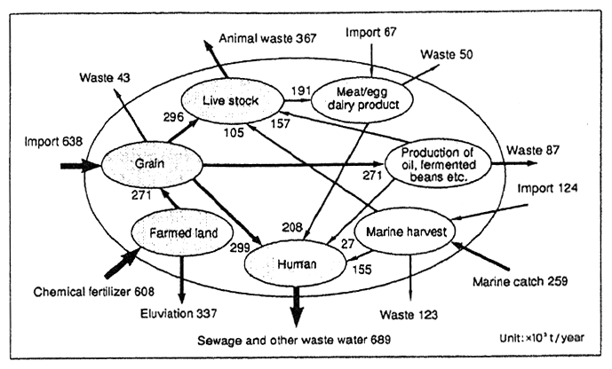 Fig. 1-5 Food Supply/Consumption Process Based on Nitrogen Flows (1992)