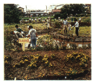 The Mishima Groundwork Committee at Work