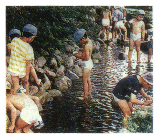 Children Playing in a Stream Created by Concerned Citizen (Koura-cho,Shiga Pretecture)