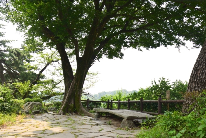 北の丸公園の見晴台