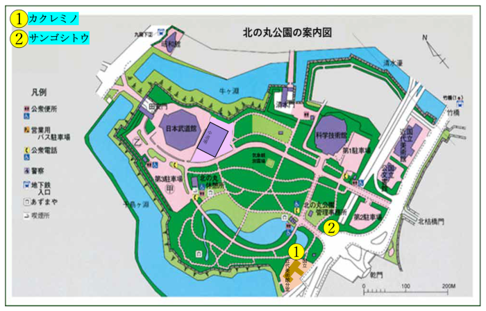 カクレミノとサンゴシトウの位置図