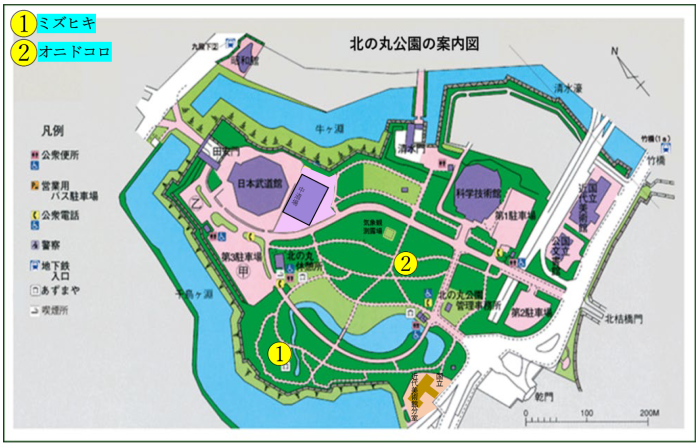 ミズヒキとオニドコロ位置図