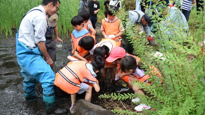 罠の中の生物を確認　※通常、北の丸公園の池に入ることは禁止です。
