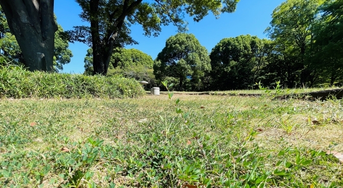芝広場
