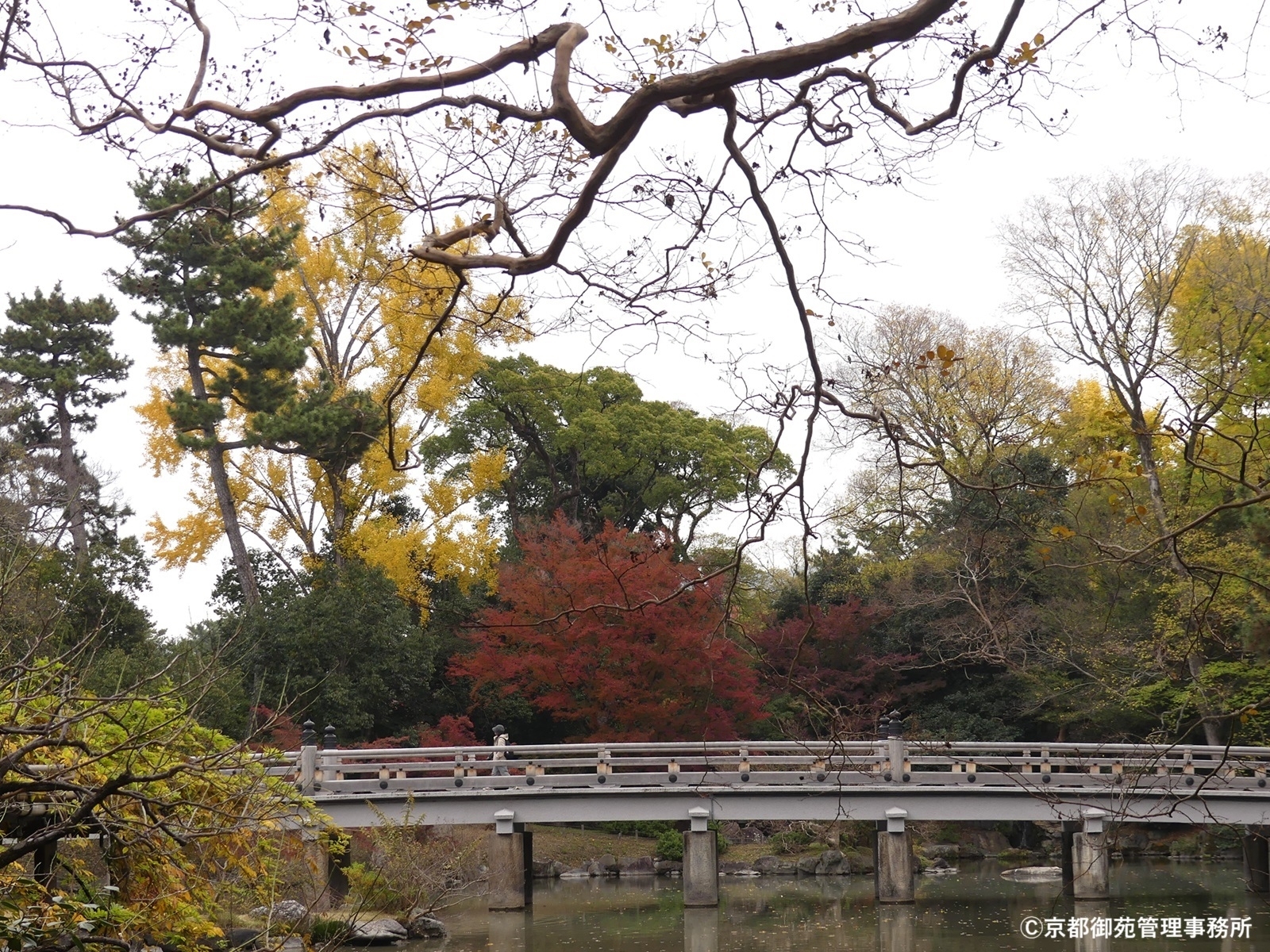 F11_九條池の高倉橋　