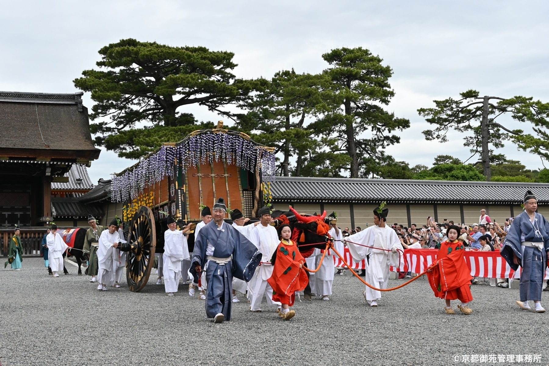 F16_葵祭　
