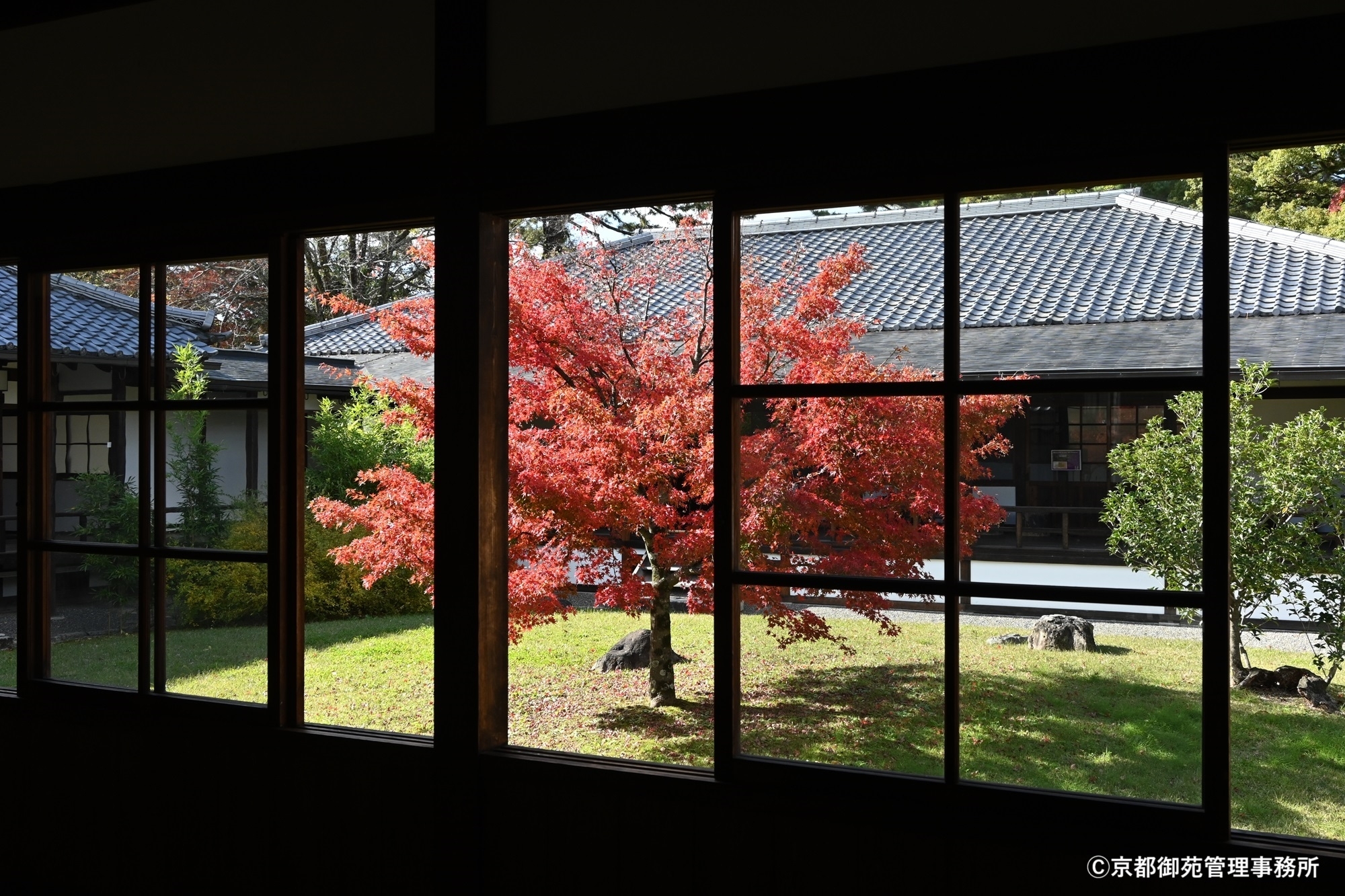 C14_閑院宮邸跡の紅葉　