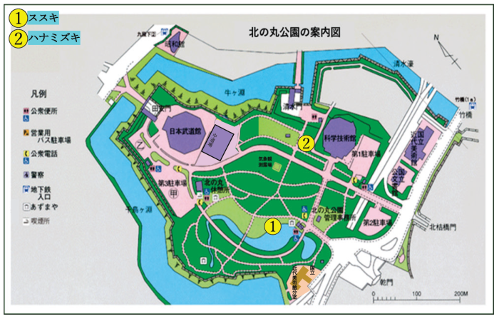 ススキ、ハナミズキ位置図