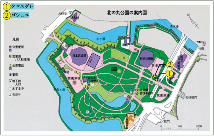 タマスダレ・ゴシュユの位置図