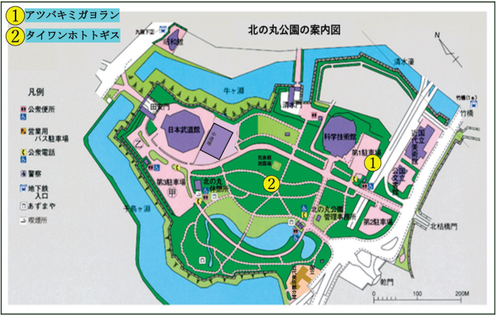 アツバキミガヨランとタイワンホトトギスの位置図