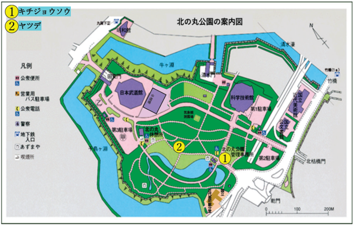 キチジョウソウとヤツデの位置図