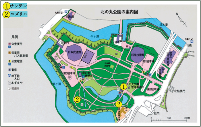 ナンテンとユズリハの位置図