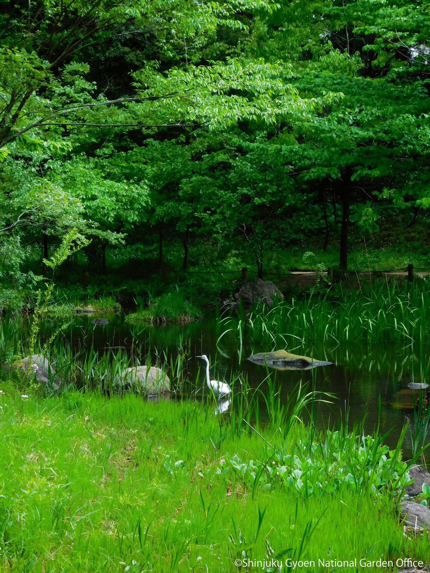 ＃landscape_tate_002　