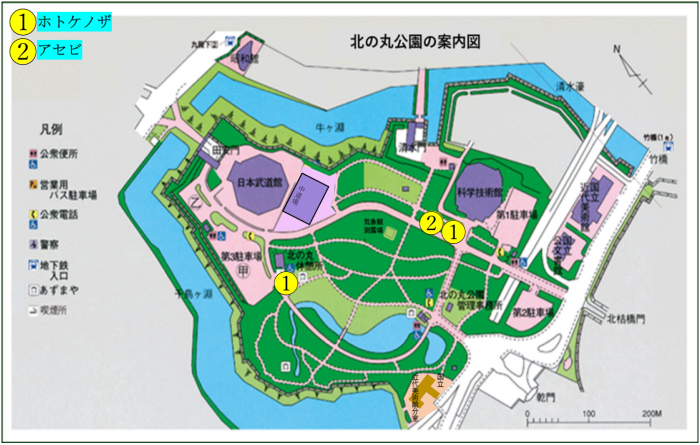 ホトケノザとアセビの位置図