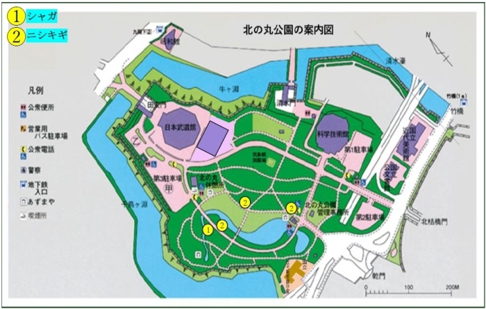 シャガとニシキギの地図