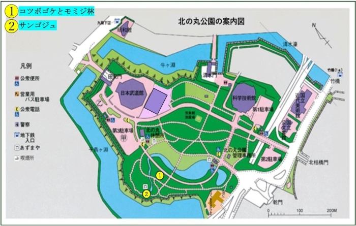 コツボゴケとモミジ林およびサンゴジュの地図
