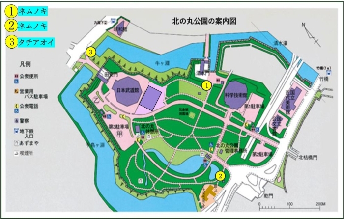 花の地図