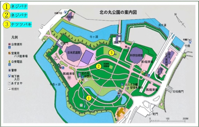 ネジバナとナツツバキの地図