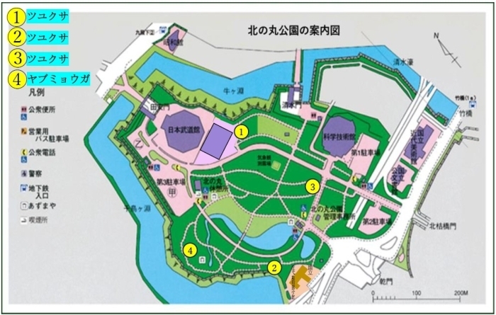 ツユクサとヤブミョウガの地図