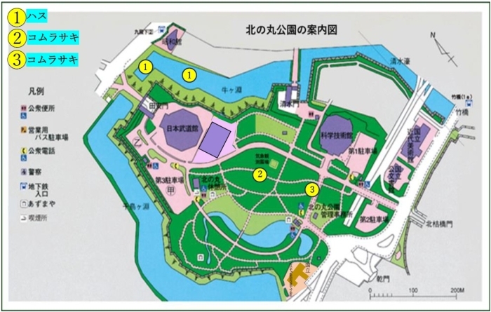 花の地図