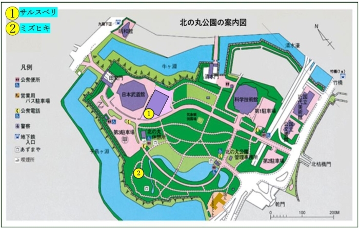 花の地図