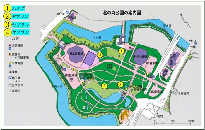 花の地図