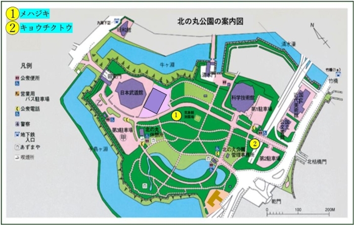 花の地図