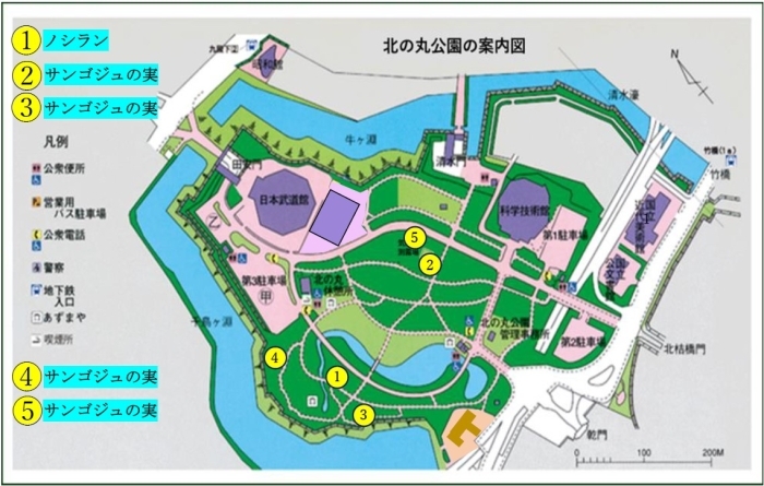 花の地図
