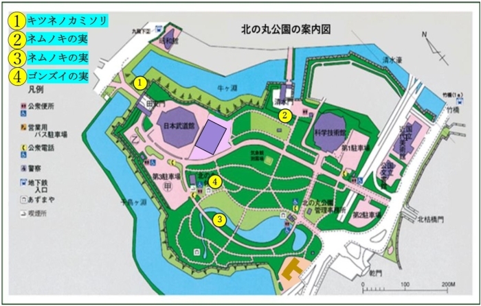 花と実の地図
