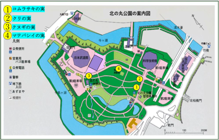 実の地図