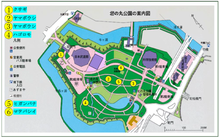 各実をつけた木々や花の地図