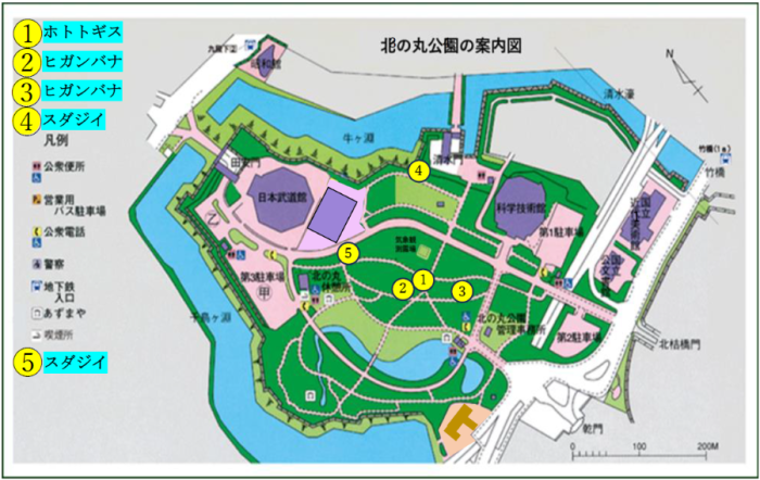 花の地図