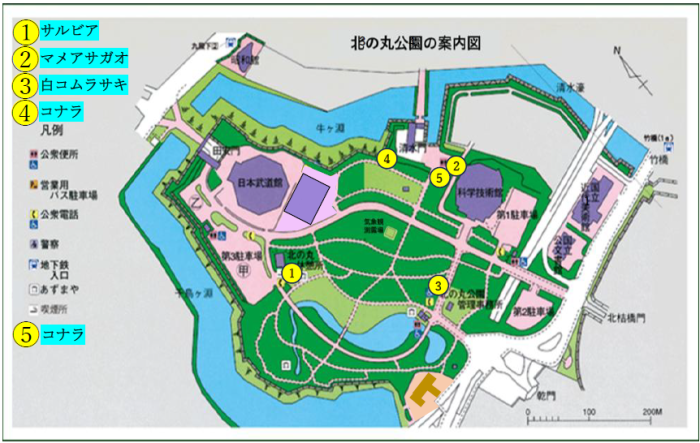 花と実の地図