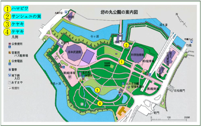 花と木の地図