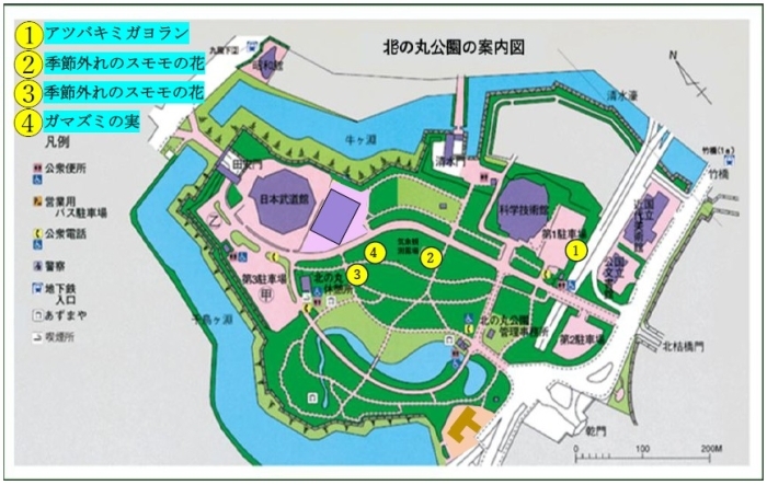 花と木と実の地図
