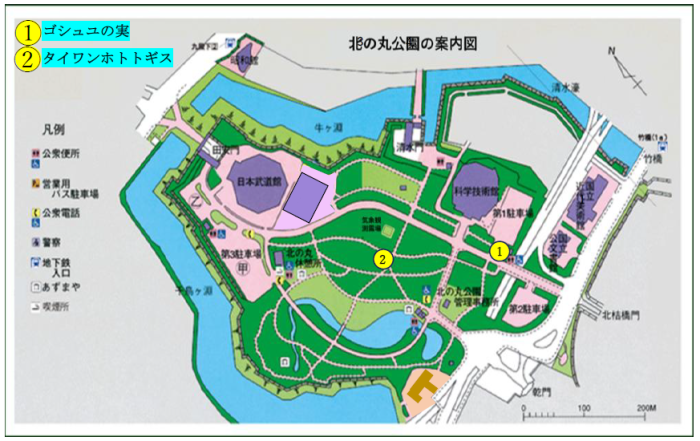 花と実の地図