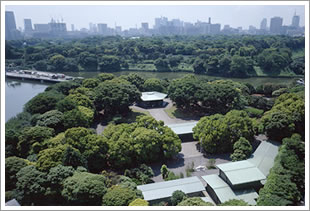 Chidorigafuchi National Cemetery