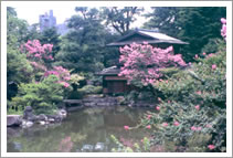 写真：京都御苑