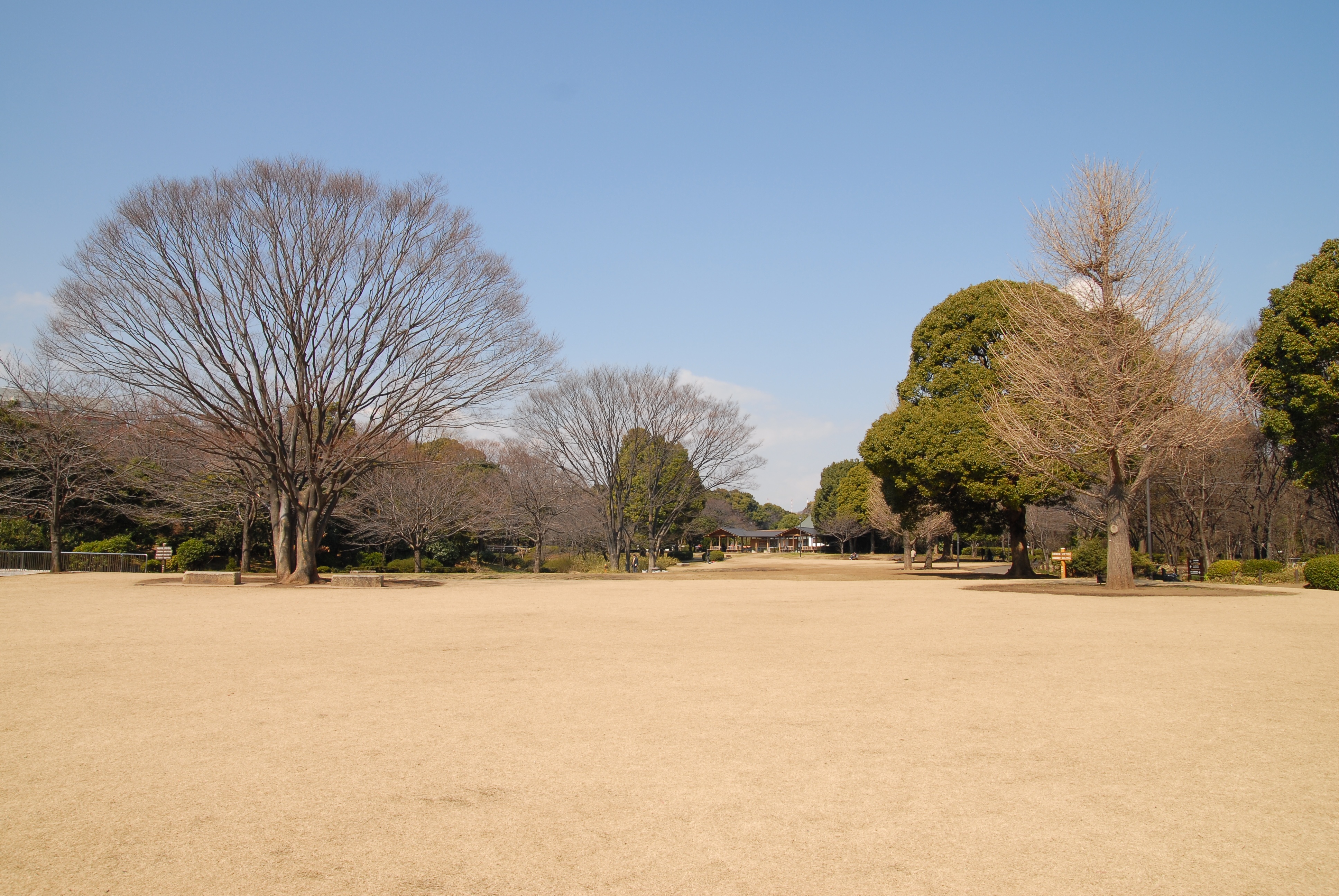 写真：冬の芝生広場