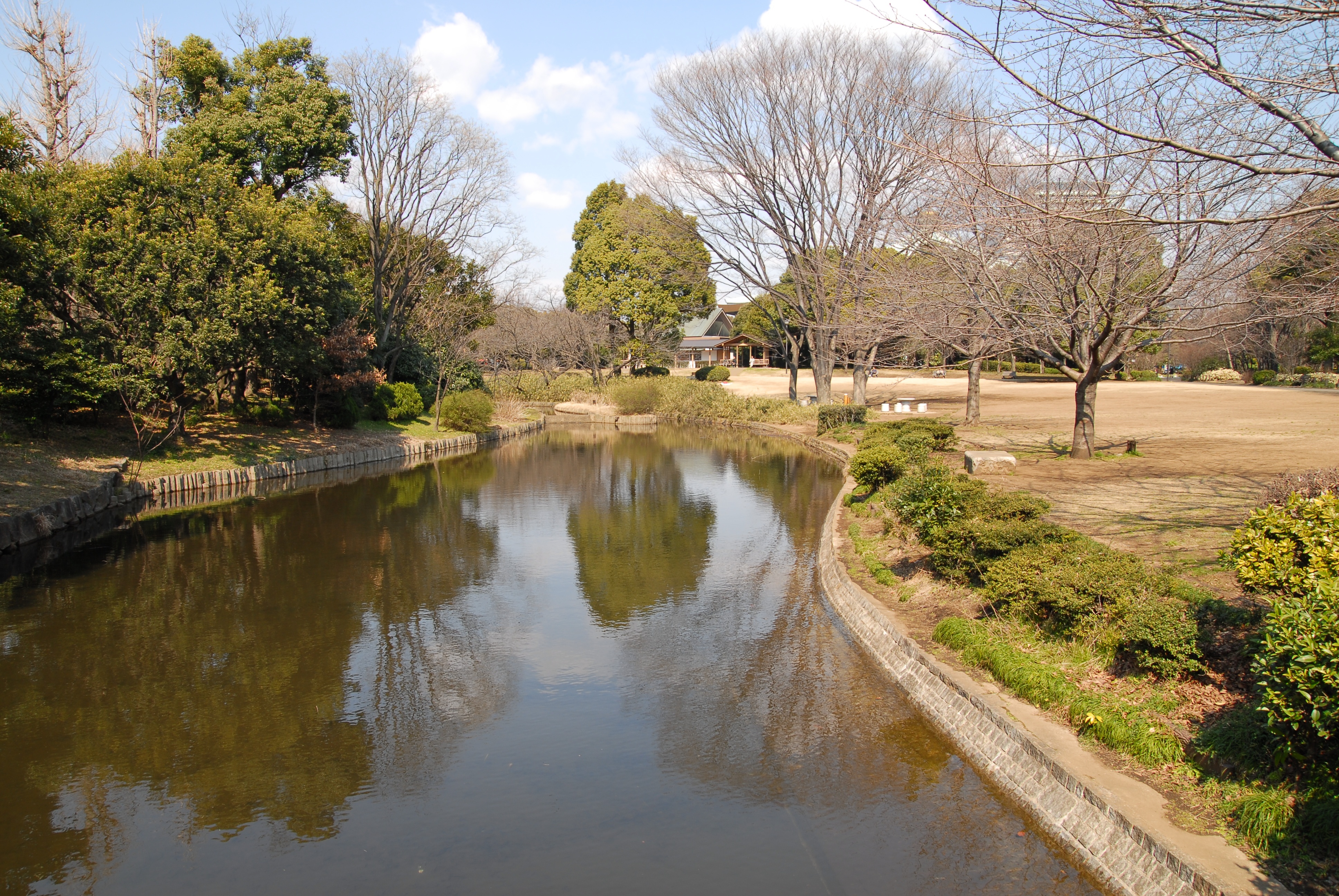 写真：冬の中の池