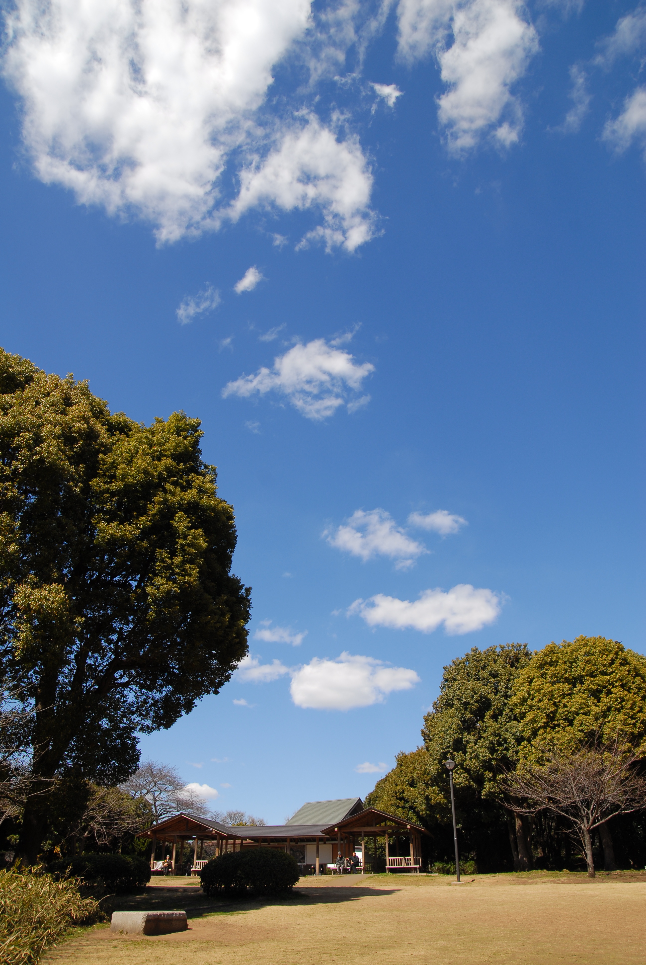 写真：冬空