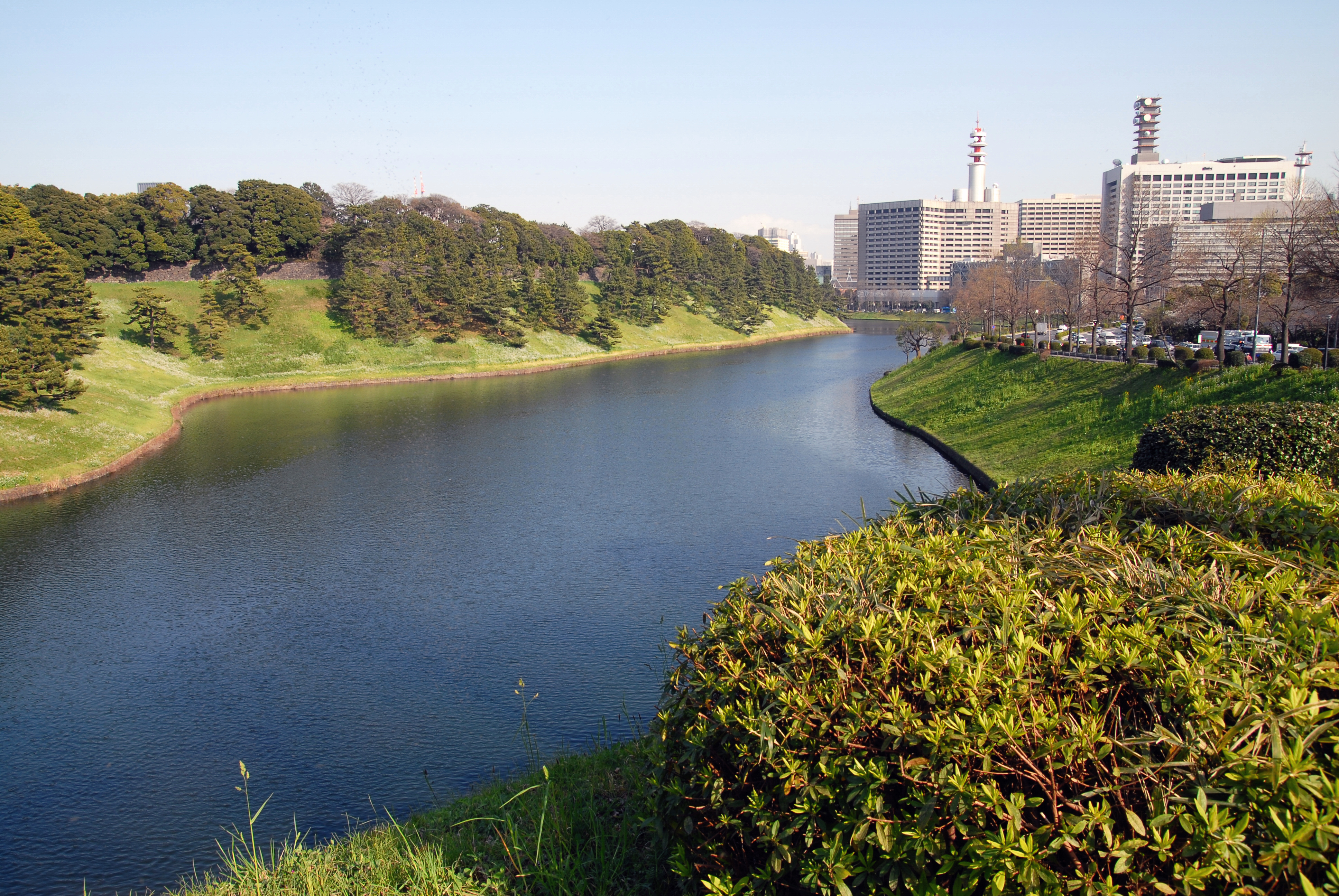 写真：桜田濠（春）