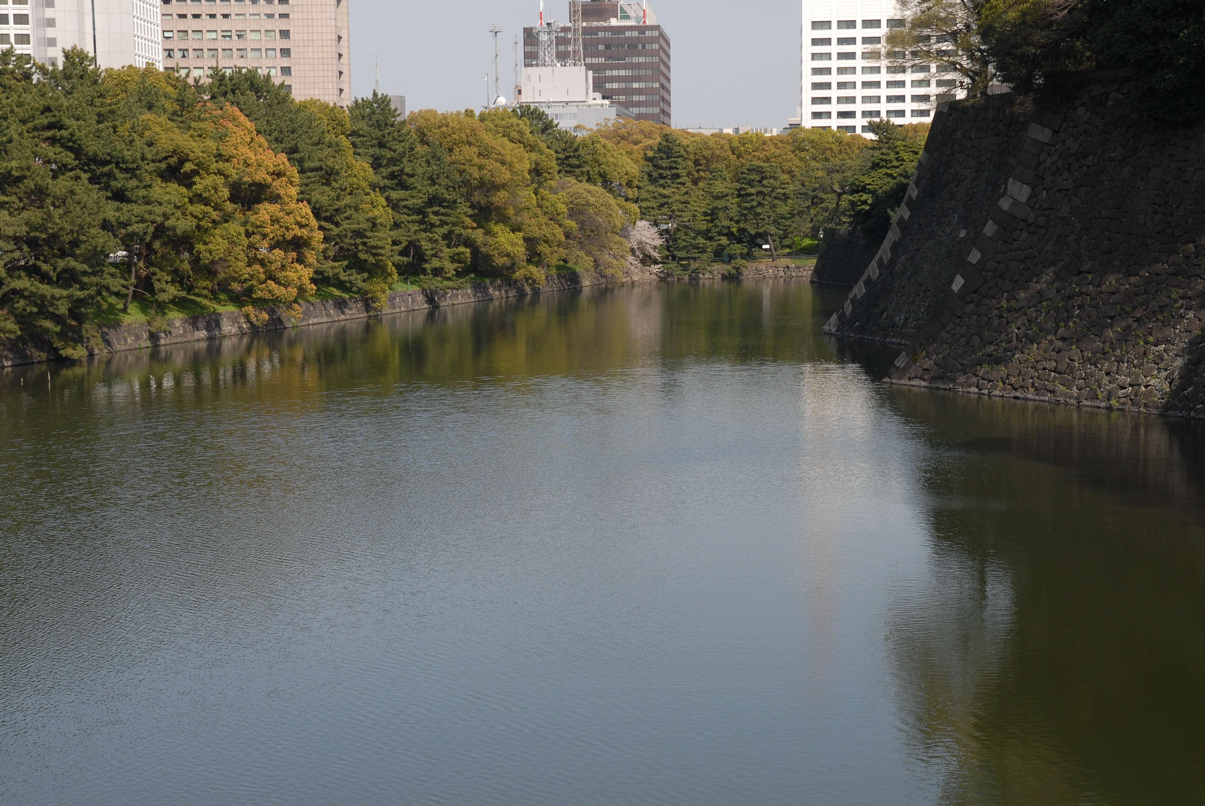 写真：平川濠と帯曲輪