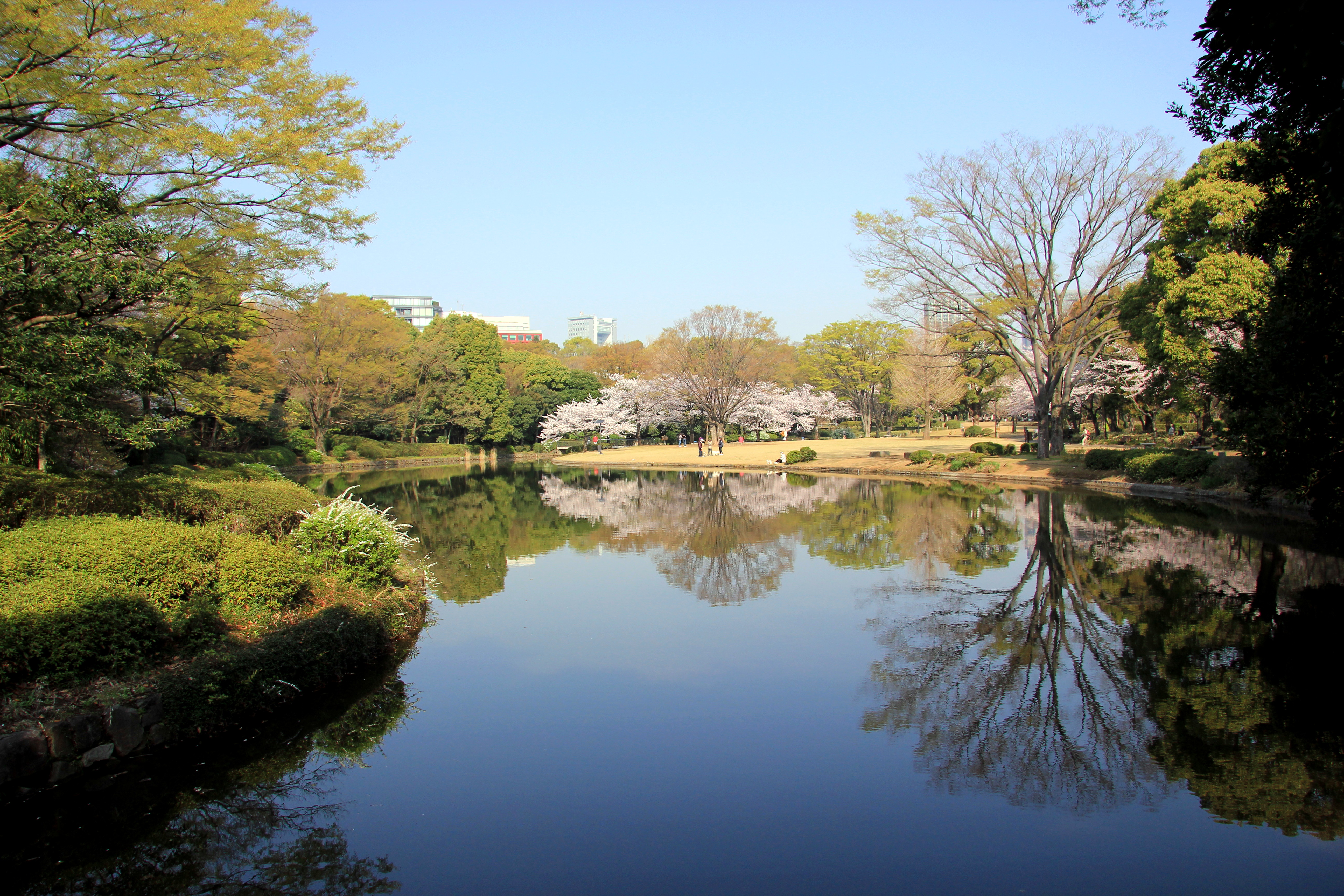 写真：中の池