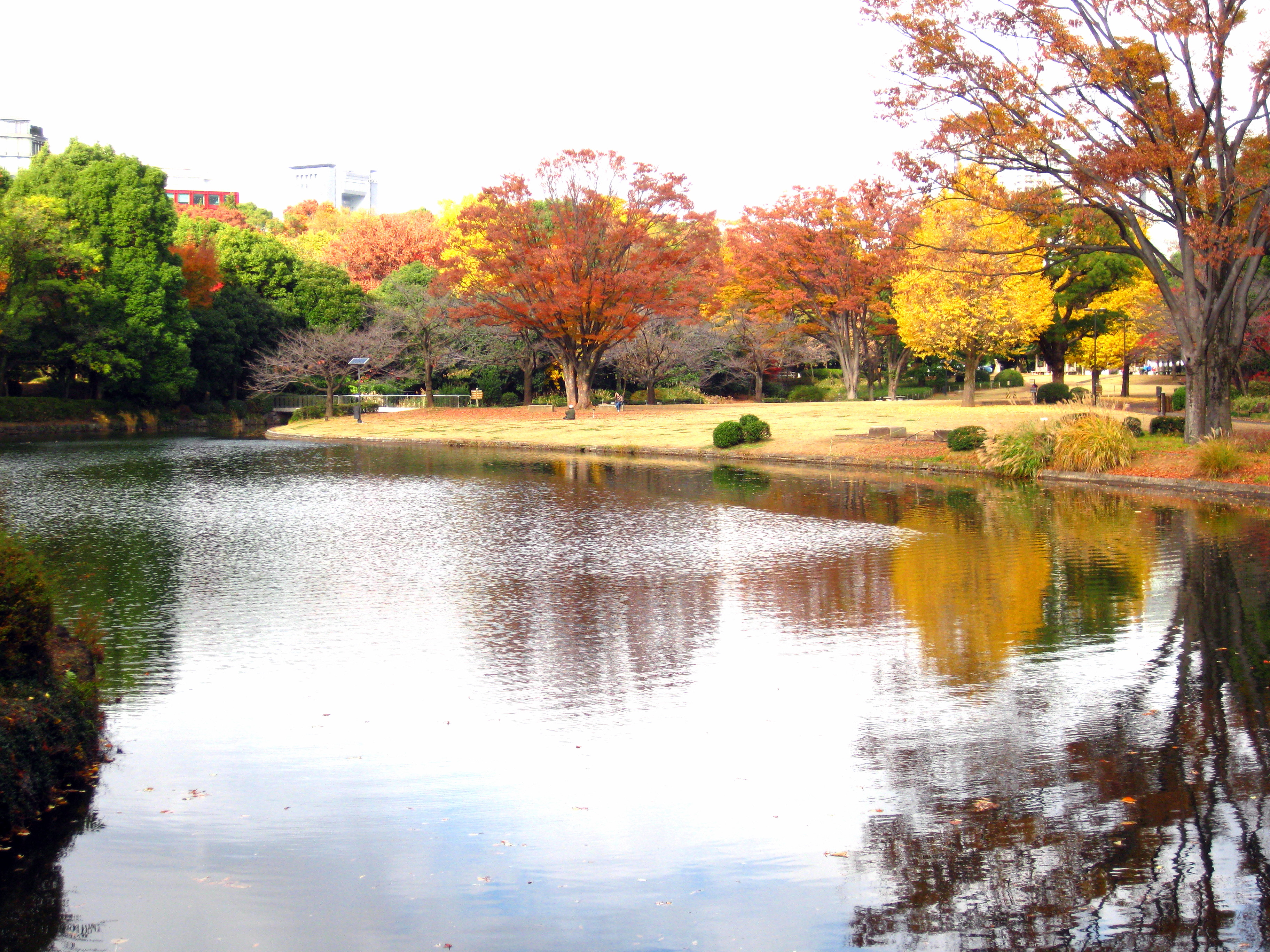 写真：中の池（２）