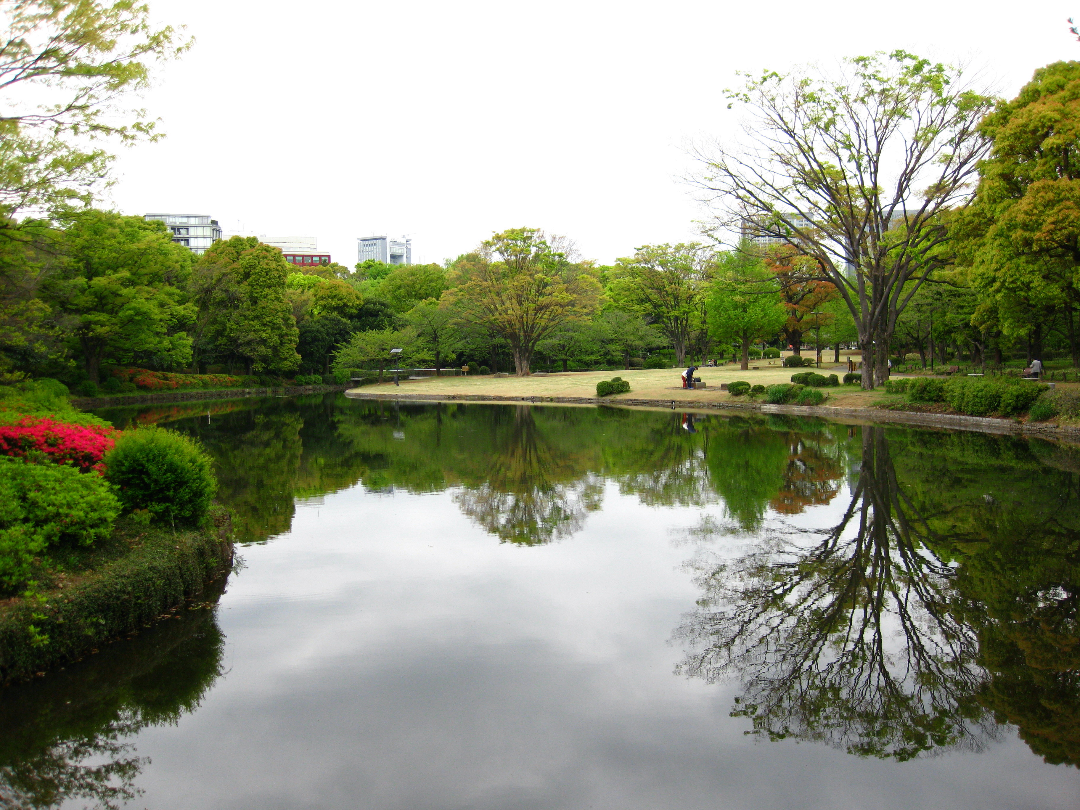 写真：中の池（２）