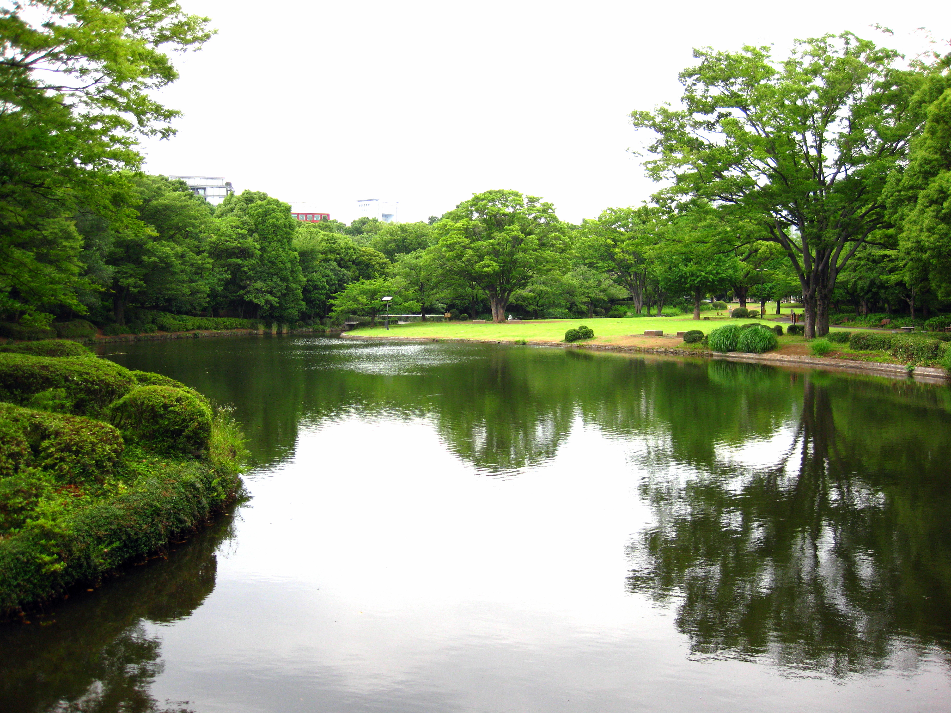 写真：中の池